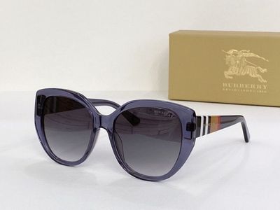 Burberry Sunglasses 631